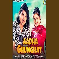 Aadha Ghunghat Amit Saini Rohtakiya Ft Anjali Raghav New Haryanvi Songs 2025 By Amit Saini Rohtakiya Poster
